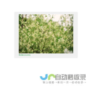 云齐探索国际旅行社(武汉)有限公司